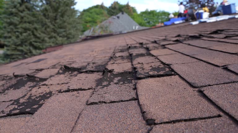 Best Roof Insulation Installation  in Lennox, CA